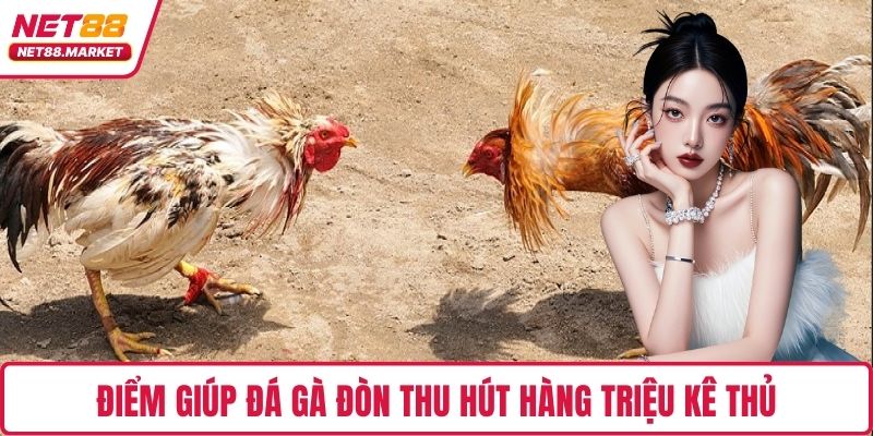 Điểm giúp đá gà đòn thu hút hàng triệu kê thủ
