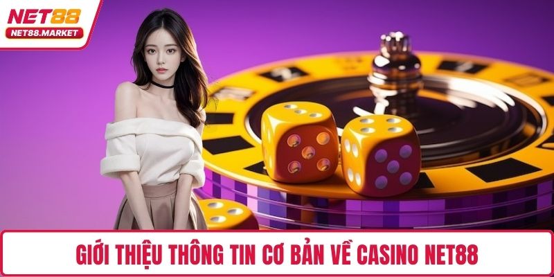 Giới thiệu thông tin cơ bản về Casino NET88